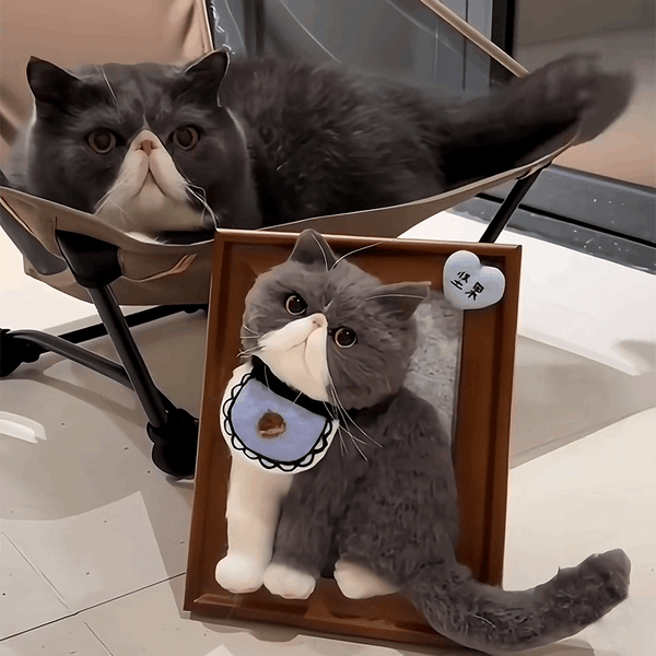 Wool Felt Photo Frame | Pet Full Body Photo Frame