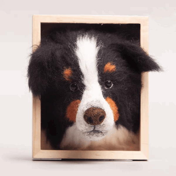 3D Wool Felt Pet Portrait Dog Memorial Frame