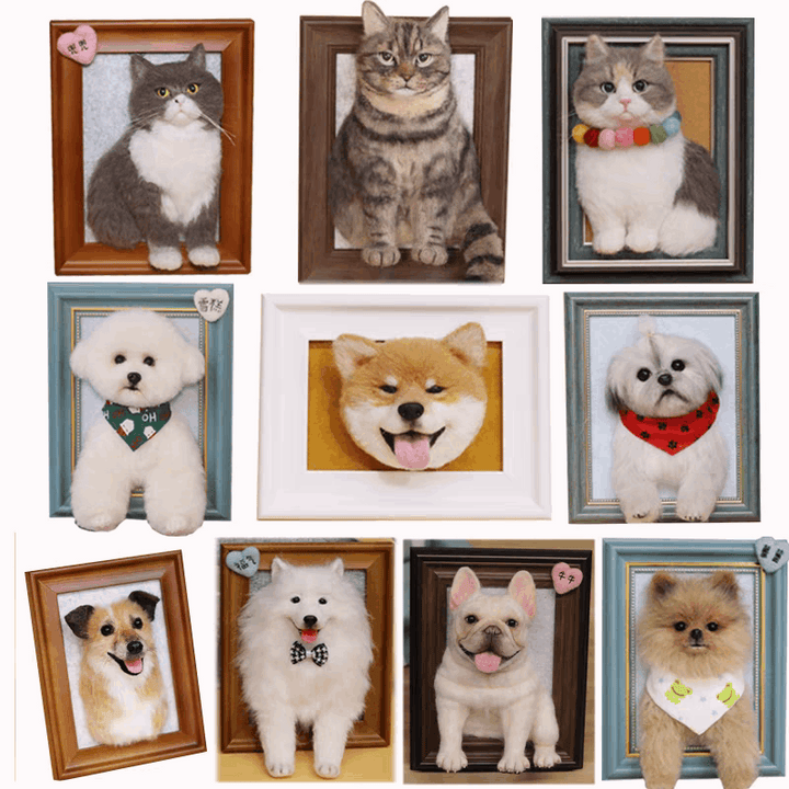 Wool Felt Photo Frame | Pet Full Body Photo Frame