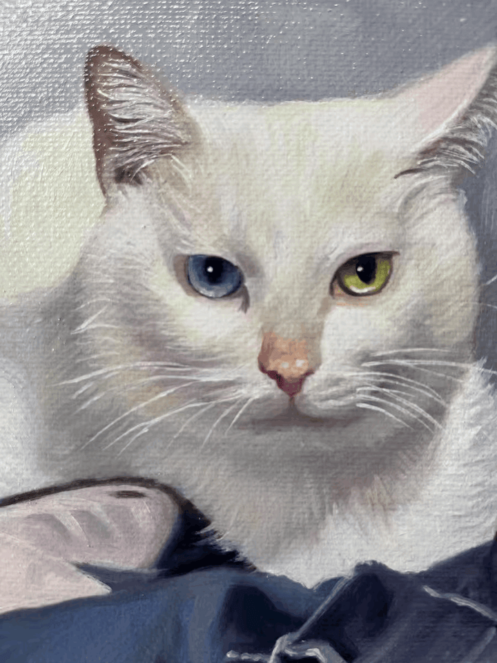 Pet portrait oil painting Cat oil painting
