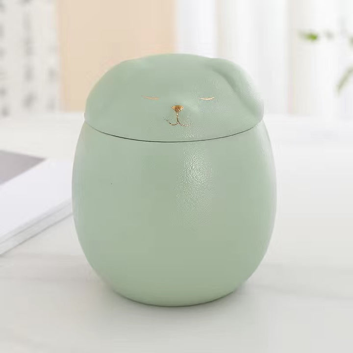 Light green ceramic urn with lid on a white surface