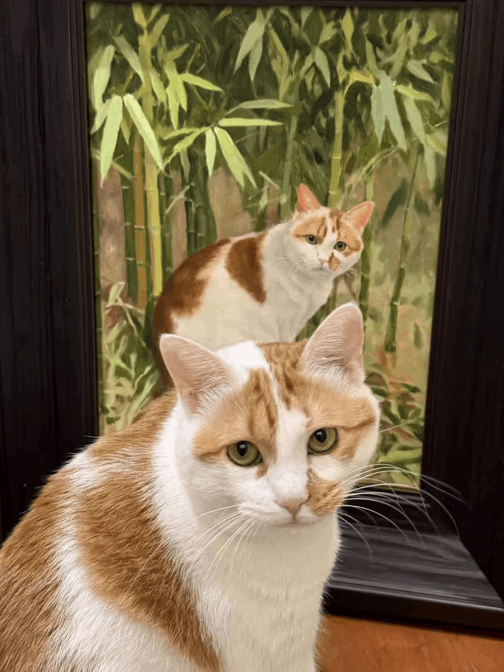 Pet oil painting