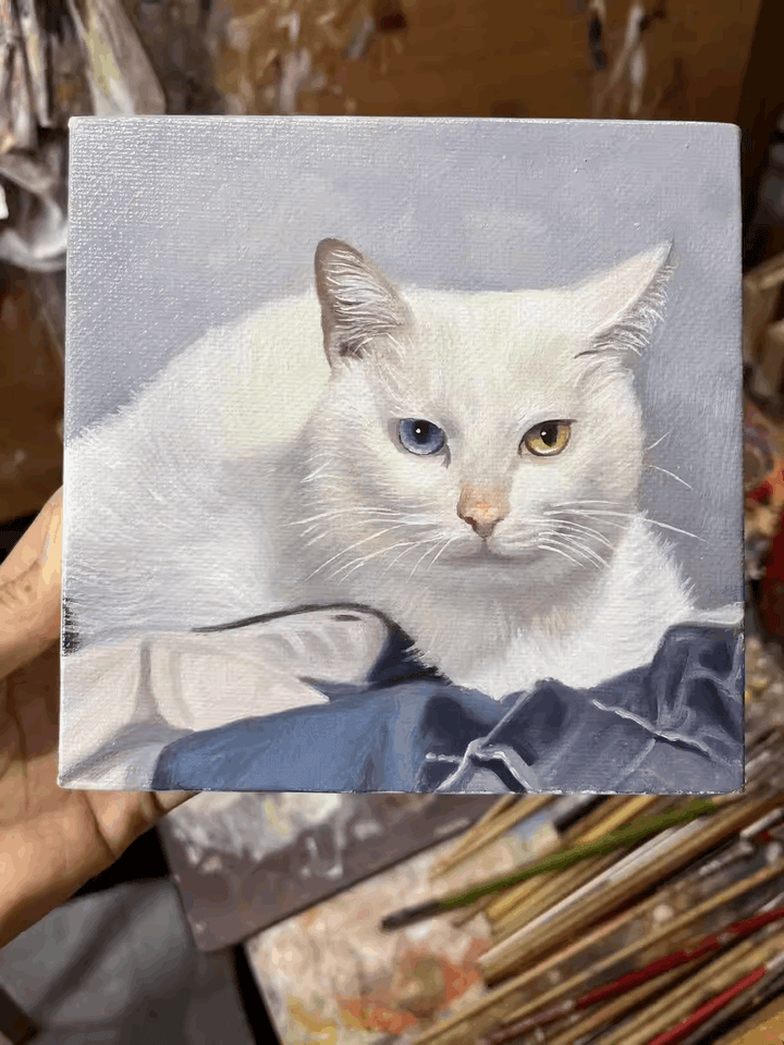 Pet portrait oil painting Cat oil painting
